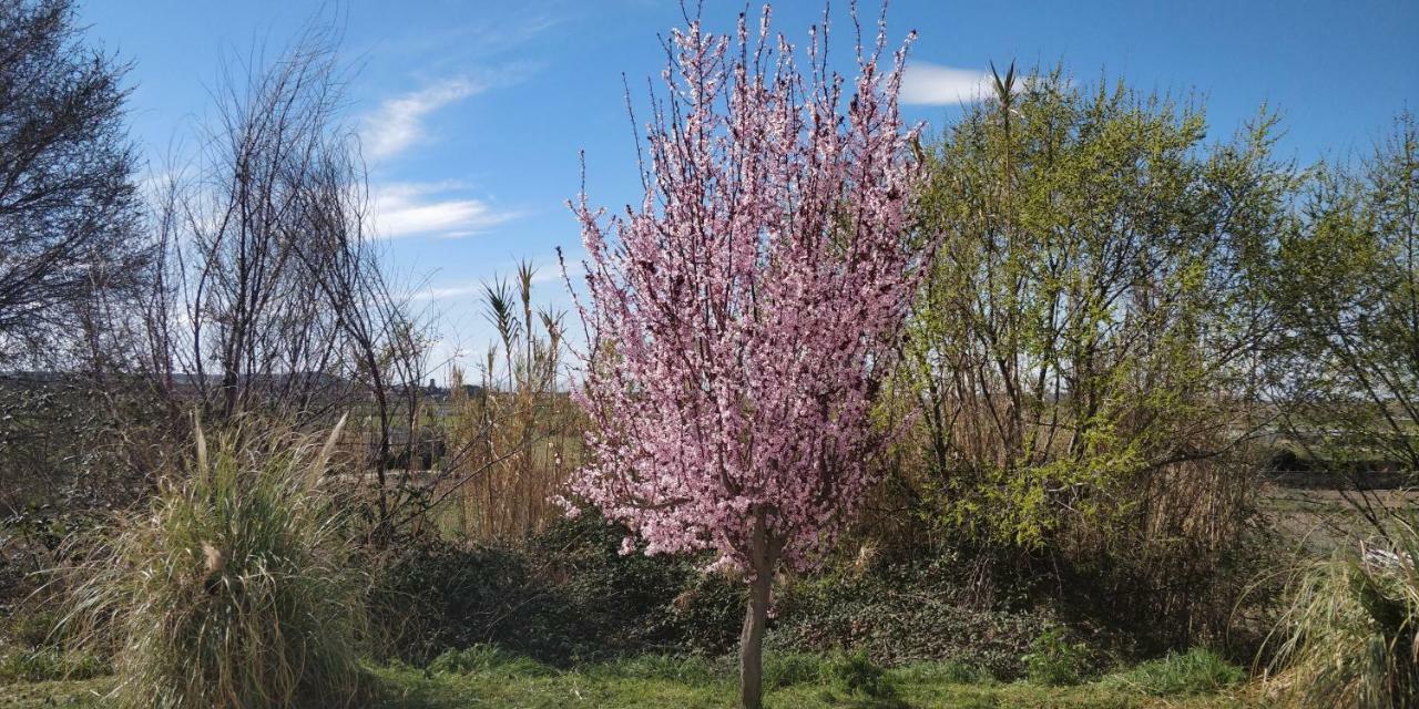 Carcastillo La Mimosa 빌라 외부 사진